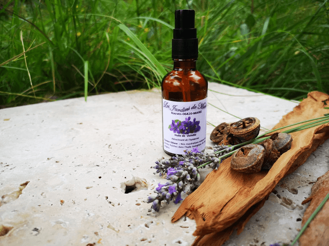 macerat de violette